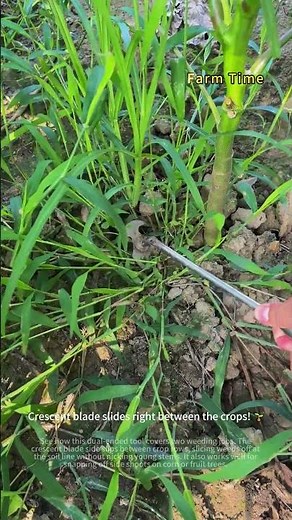 Crescent Hoe + Three-Tine Rake, Two Tools in One 🌱🔱