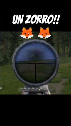 Un zorro!! 🦊 #dayzespañol #gameplay #dayz #duo #clips #fox #zorro #dayzstandalone #dayzgameplay