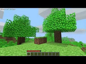 Version Infdev 20100611