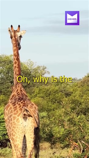 74K views · 101 reactions | Ew... | B Memes | Facebook