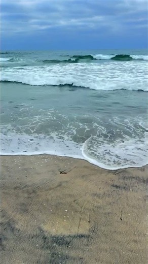 San Diego Ocean Waves | #BigNatureUSA