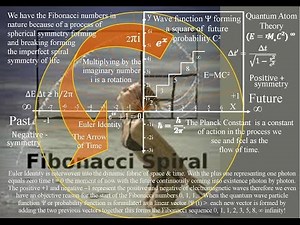 A reason for the Fibonacci Spiral in Nature