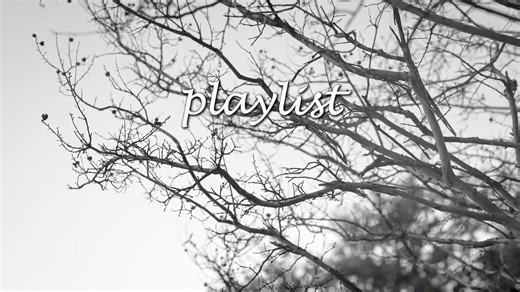 【playlist | 纯音乐】看到时间美景，一边分享给你，一边充满悲伤 | 安静 孤独