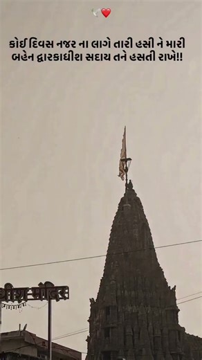 #商品是蛋糕小熊機關盒 #沒有附戒指💍#禮物要自己準備唷 #流行週邊好物推薦搜尋✨ #玩具公仔搜尋🔎 #寵物周邊搜尋🔎#最新商品資訊請看限時動態精選👇#下單方式🛒🔜#留言”+1”; 小編火