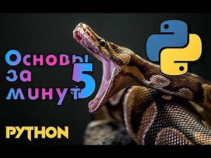 Python Basics in 5 Minutes. Learn Python. Python Lessons.