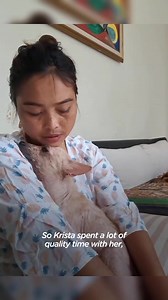 Watch Her Transform Into A Fluffy Puppy #dog #dogsoftiktok #puppy #pet #animals #viral | Jack and Roll