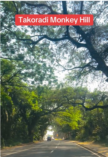 Takoradi Monkey Hill Road