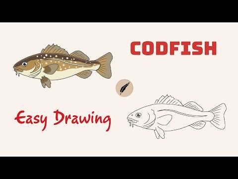 How to Draw a COD FISH! 🐟🌊 Easy Step by Step Fish Drawing for Kids! #lidoartworks