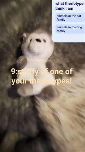 make a therian den with me sorry if the question was in the way... #therian #decoration