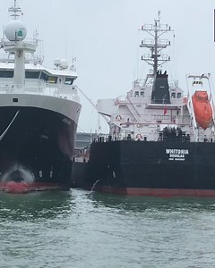 2.3K views · 29 reactions | Docklife - Southampton  In the next few days we'll find out if Southampton has made the shortlist for City of Culture 2025. The city's maritime heritage and industry is a key part of the Southampton2025 bid. ABP Southampton - Port of Southampton | BBC Dorset | Facebook