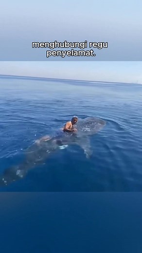 582K views · 6.1K reactions | Peria ini salah paham dengan hiu paus | Kan Snails | Facebook