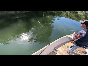 Fly fishing for PA River Musky (TECHNIQUE)