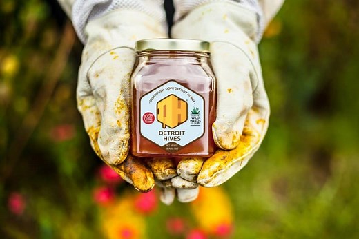 Is Honey Good for Your Singing Voice?   The Best Honey for Singers