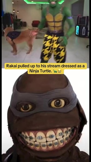 Rakai pulled up to his stream dressed as a Ninja Turtle. 🐢😭 #2xrakai #ninjaturtle #twitchstreamer #goldenretriever #twitchstream