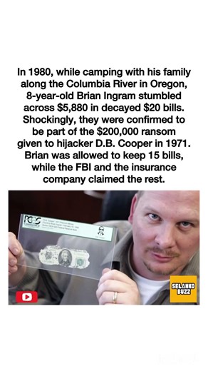 #fadas #relatablememes 🆘