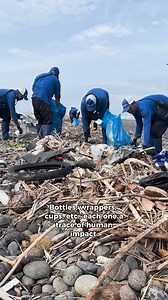 The tide brought in more than bamboo. 🌊 Tangled in the branches were bottles, wrappers, and cups, every piece a trace of human impact. Our crew cleared both natural debris and plastic pollution, restoring balance to a shoreline caught in the middle. Every cleanup matters. Every pound counts. Join the mission → https://bit.ly/4noYDcb #4ocean #coastalcleanup #oceanconservation #plasticpollution #makewaves | 4ocean
