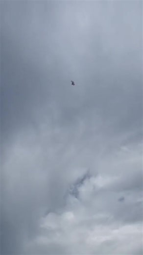 Watch My RC Biplane Soar With Unlimited Climb at the Park!