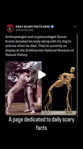 Thescaryfact ™ on Instagram: "Grover Krantz, an anthropologist and cryptozoologist known for his research on Bigfoot, donated his body to science. His skeleton, along with that of his beloved dog Clyde, is on display at the Smithsonian National Museum of Natural History. The display aims to highlight the bond between humans and their pets, and it serves as an educational exhibit for visitors."