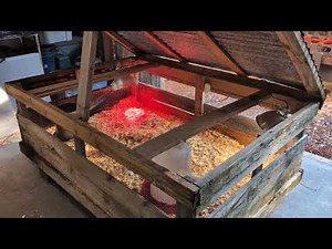 Raising Meat Chickens, Step 1, preparing the brooder.