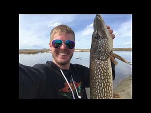 Devils Lake Spring Shore Fishing Report- April 18th, 2019