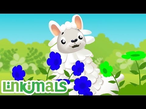 Linkimals™ - Learning Colors Songs! Kids Songs | Cartoons For Kids | Nursery Rhymes | Kids Learning