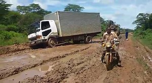 Enguudo ze Uganda. | Bukedde TV
