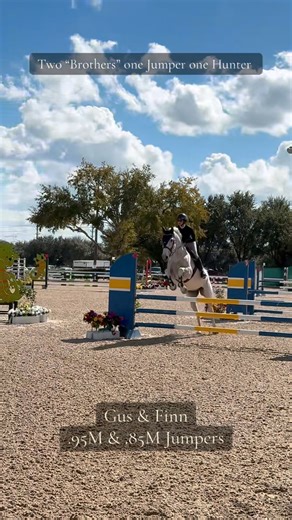 Jumper day for both boys #funrides #jumperboys #theyliketogofast #whatarebreaks | Grace Equestrian | Facebook