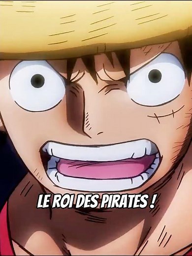 Luffy affronte Kaido - One Piece