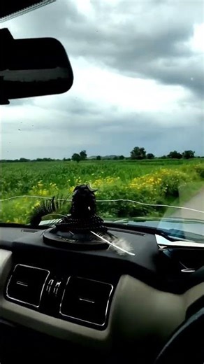 #youtubeshorts#trending #scorpio #youtube #love#funny#motivation #freefire #viral #art #anime #asmr