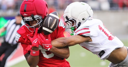 Photos: Young players shine in Ohio State's spring game Saturday