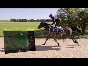EQUIMETRE - Monitoring of the equine athlete in training 🏇