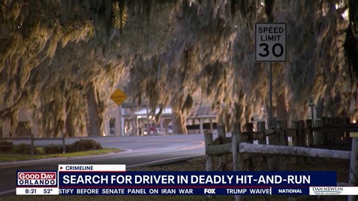 Crimeline shares details about deadly Eustis hit-and-run