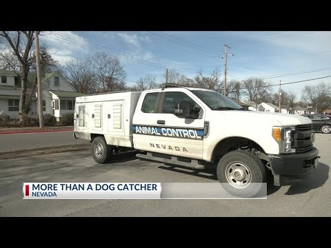 Nevada animal control officer’s role goes beyond catching dogs