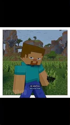 in Minecraft java you can plant any type of spruce tree