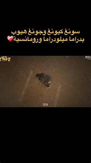 Kdrama Mix | ‎الإعلان الاول لدراما النجمين Chae Jong Hyeop& Lee Sung Kyung بعنوان In Your Radiant Season 🍀 دراما لعشاق الميلودرما الرومانسية و تحكي عن...‎ | Instagram