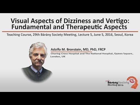 Visual Aspects of Dizziness and Vertigo: Fundamental and Therapeutic Aspects