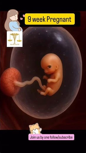 5-25 week pregnancy #medleapr #funny #pregnancy #cute #baby #love #bellybump