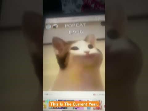 Popcat Clicking to 1 Billion - Hitting 2,025 Clicks