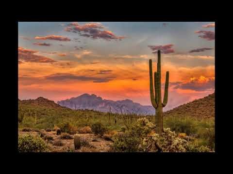 PSALMS 132 song by STI