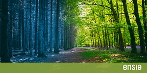 The term “resilience” is everywhere — but what does it really mean?