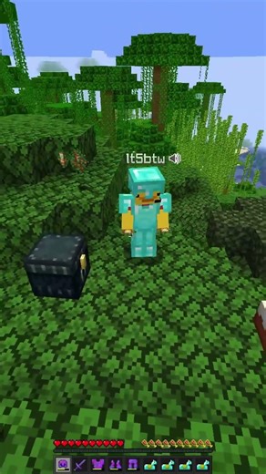 This guy gave me *FREE* netherite armor on the donut smp