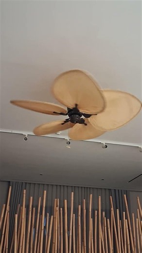 Fanimation Islander Ceiling Fan
