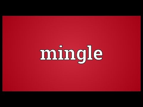 Mingle Meaning