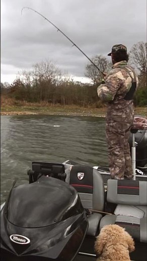 Not a chance this will EVER get old. Topwater, big bass and cool weather. What dreams are made of.