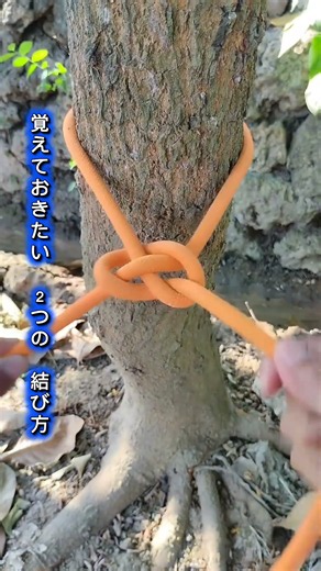覚えておきたい便利な2つの結び方