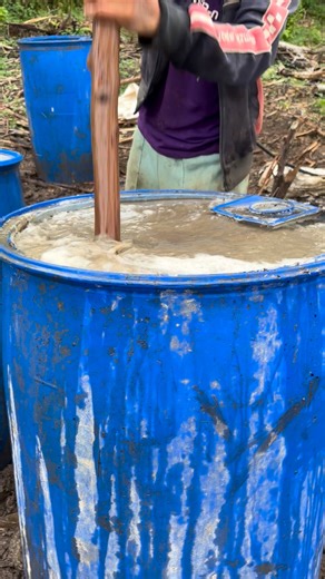 Mixing chicken manure,limestone,triple 14 fertilizer for carrots 🥕. #carrotsfarming. #godblessthefarmers. #farmerslife | IFC Mt. Apo Vegetable Farming