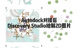 Autodock对接后运用Discovery Studio绘制2D图片-憂梦-分子对接-哔哩哔哩视频