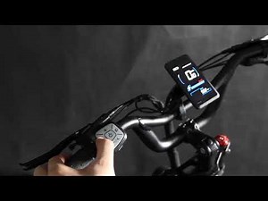 Unlock Speed Limit on Bezior X500MAX Bafang Motor Cargo E-Bike | Step-by-Step Guide