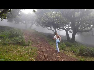 The Village That Lives Inside the Fog – Madeira’s Hidden Gem