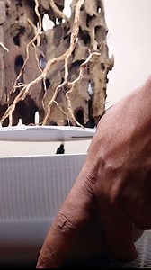 Paludarium Hardscape #paludarium #hardscape | The Urban Nemophilist
